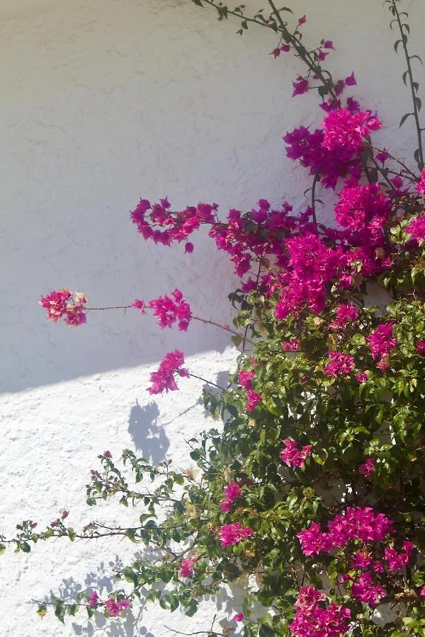 Luxury B&B Villa Tauro La Cala De Mijas Bed & Breakfast